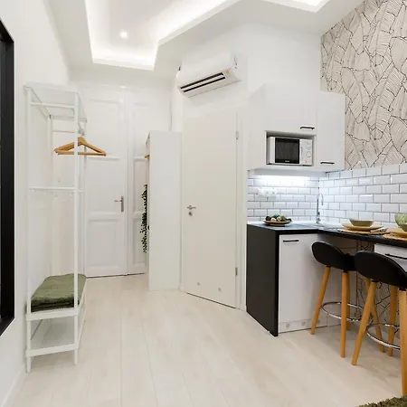 布达佩斯假期住宅公寓 公寓 布达佩斯